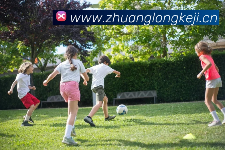 开云最新版本官方下载发展历程